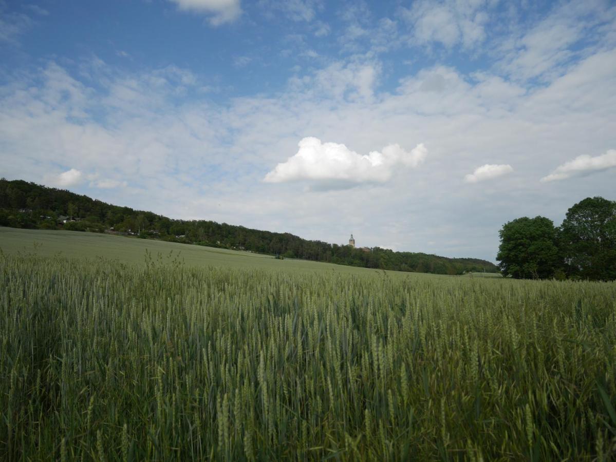 Pension Gruenes Herz Tonndorf Bagian luar foto