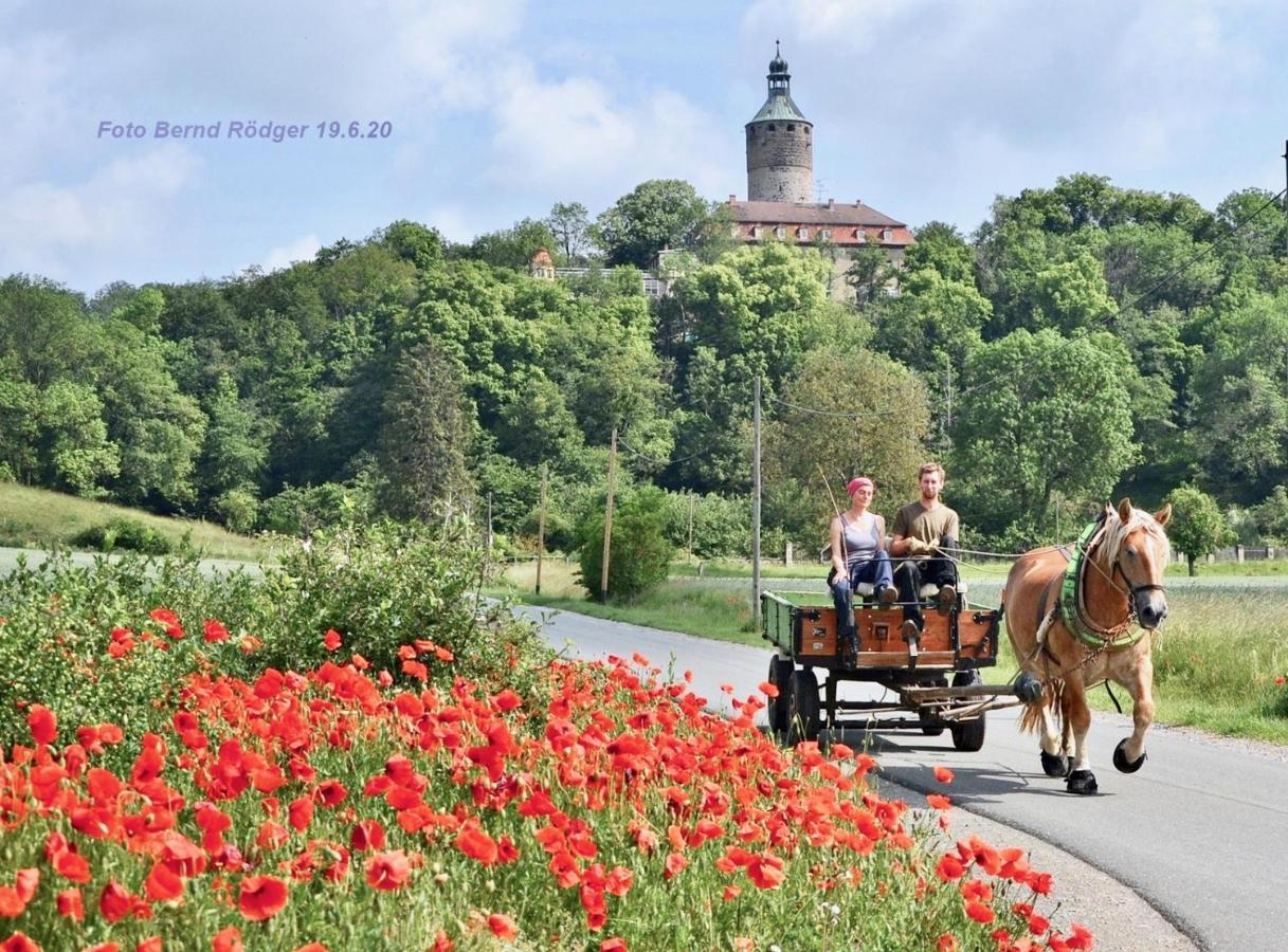 Pension Gruenes Herz Tonndorf Bagian luar foto